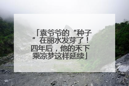 袁爷爷的“种子”在丽水发芽了！四年后，他的禾下乘凉梦这样延续