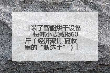 装了智能烘干设备，每吨小麦减损60斤（经济聚焦·夏收里的“新选手”）