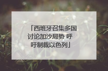 西班牙召集多国讨论加沙局势 呼吁制裁以色列
