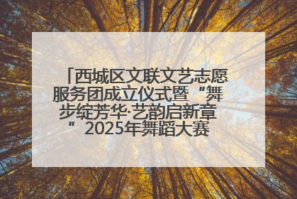 西城区文联文艺志愿服务团成立仪式暨“舞步绽芳华·艺韵启新章”2025年舞蹈大赛展演圆满举办