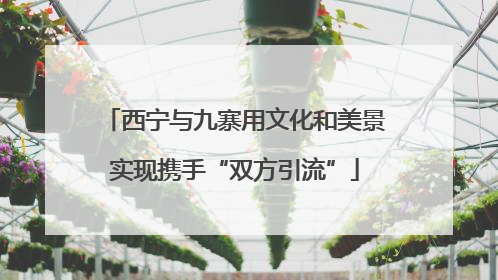 西宁与九寨用文化和美景实现携手“双方引流”