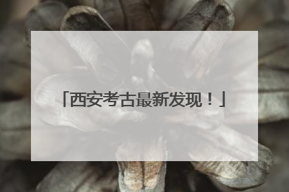 西安考古最新发现！