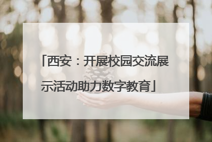 西安：开展校园交流展示活动助力数字教育