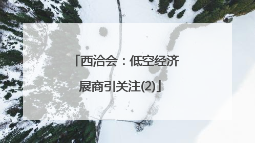 西洽会：低空经济展商引关注(2)