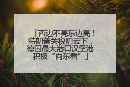 西边不亮东边亮！特朗普关税阴云下，德国最大港口汉堡港积极“向东看”