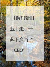解码新职业丨走，一起下乡当“CEO”