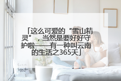 这么可爱的“雪山精灵”，当然是要好好守护啦——有一种叫云南的生活之365天