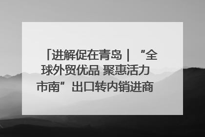 进解促在青岛｜“全球外贸优品 聚惠活力市南”出口转内销进商超专场活动启动
