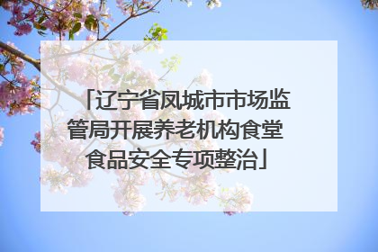 辽宁省凤城市市场监管局开展养老机构食堂食品安全专项整治