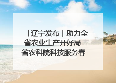 辽宁发布｜助力全省农业生产开好局 省农科院科技服务春耕备耕成效显著