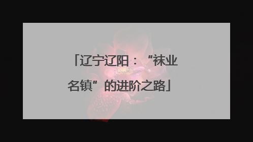 辽宁辽阳：“袜业名镇”的进阶之路