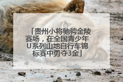 贵州小将驰骋金陵赛场，在全国青少年U系列山地自行车锦标赛中勇夺3金
