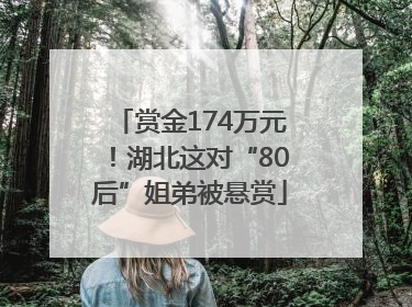 赏金174万元！湖北这对“80后”姐弟被悬赏