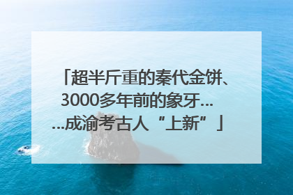 超半斤重的秦代金饼、3000多年前的象牙……成渝考古人“上新”