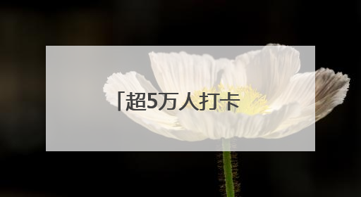 超5万人打卡 长沙草莓音乐节满满“青”和力