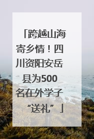 跨越山海寄乡情！四川资阳安岳县为500名在外学子“送礼”