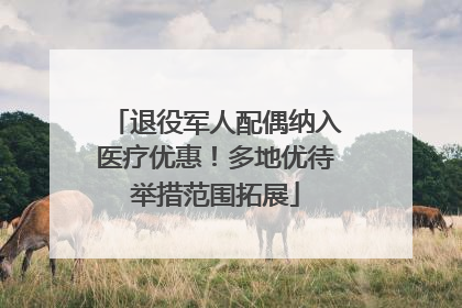 退役军人配偶纳入医疗优惠！多地优待举措范围拓展