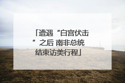 遭遇“白宫伏击”之后 南非总统结束访美行程