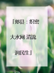郏县：织密大水网 清流润民生