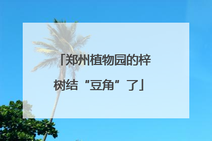 郑州植物园的梓树结“豆角”了