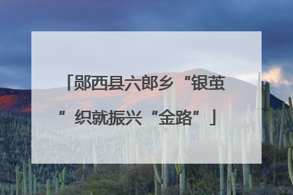 郧西县六郎乡“银茧”织就振兴“金路”
