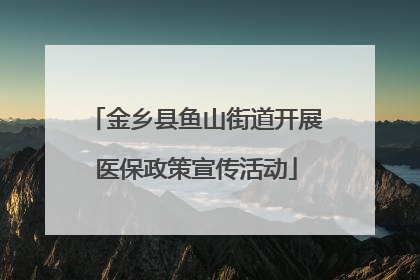 金乡县鱼山街道开展医保政策宣传活动