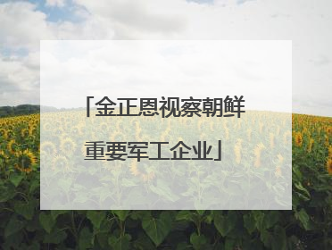 金正恩视察朝鲜重要军工企业