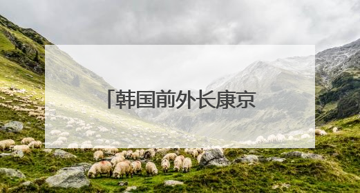 韩国前外长康京和：特朗普“对等关税”加速全球GDP缩减的趋势