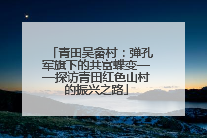 青田吴畲村：弹孔军旗下的共富蝶变——探访青田红色山村的振兴之路