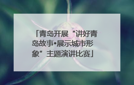 青岛开展“讲好青岛故事•展示城市形象”主题演讲比赛