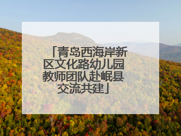 青岛西海岸新区文化路幼儿园教师团队赴岷县交流共建