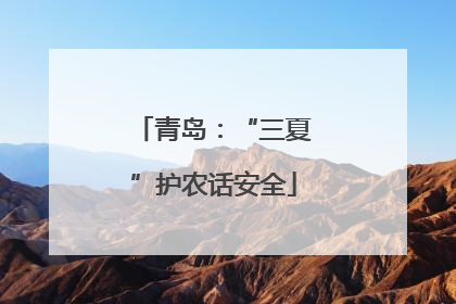 青岛：“三夏”护农话安全