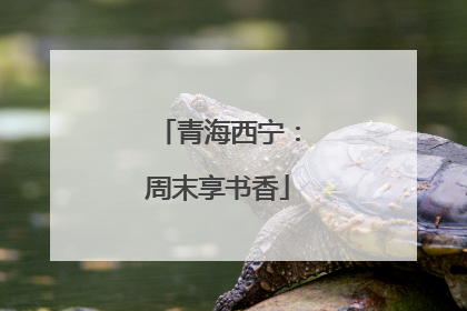 青海西宁：周末享书香