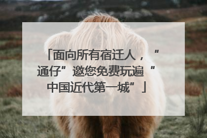 面向所有宿迁人，“通仔”邀您免费玩遍“中国近代第一城”