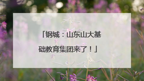 钢城：山东山大基础教育集团来了！