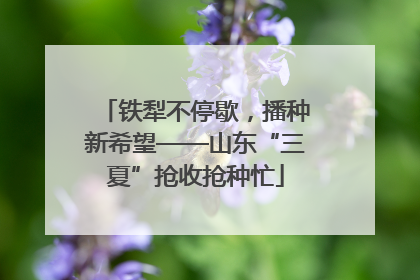 铁犁不停歇，播种新希望——山东“三夏”抢收抢种忙