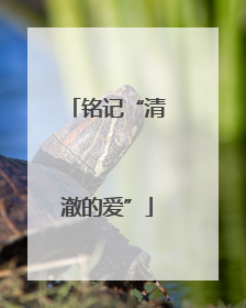 铭记“清澈的爱”