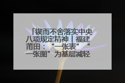 锲而不舍落实中央八项规定精神丨福建莆田：“一张表”“一张图”为基层减轻“数字负担”