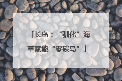 长岛：“驯化”海草赋能“零碳岛”