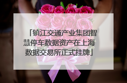 镇江交通产业集团智慧停车数据资产在上海数据交易所正式挂牌