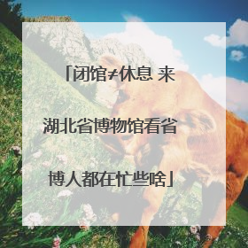 闭馆≠休息 来湖北省博物馆看省博人都在忙些啥