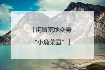 闲置荒地变身“小鹿菜园”