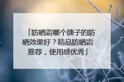 防晒霜哪个牌子的防晒效果好？精品防晒霜推荐，使用感优秀