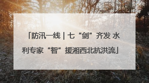 防汛一线｜七“剑”齐发 水利专家“智”援湘西北抗洪流