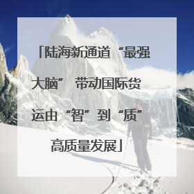 陆海新通道“最强大脑” 带动国际货运由“智”到“质”高质量发展