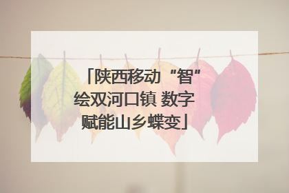 陕西移动“智”绘双河口镇 数字赋能山乡蝶变