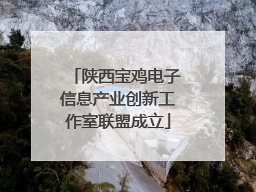 陕西宝鸡电子信息产业创新工作室联盟成立