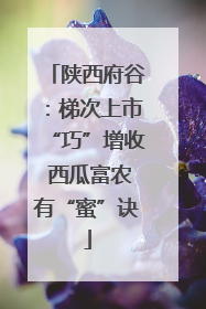陕西府谷：梯次上市“巧”增收 西瓜富农有“蜜”诀