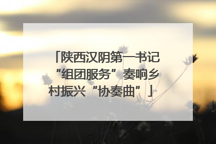 陕西汉阴第一书记“组团服务”奏响乡村振兴“协奏曲”