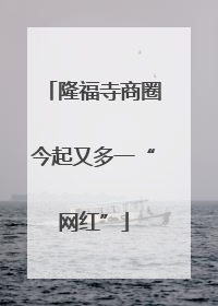 隆福寺商圈今起又多一“网红”